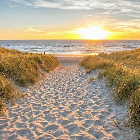 In Texel Near