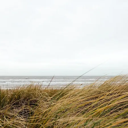 In Texel Near 德科赫