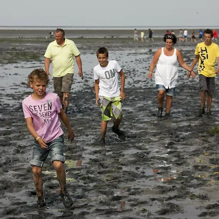 In Texel Near 别墅 *