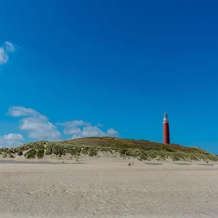 In Texel Near