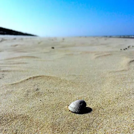 别墅 In Texel Near *