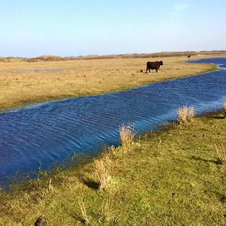 In Texel Near