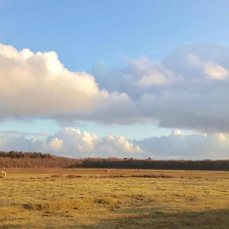 In Texel Near 别墅