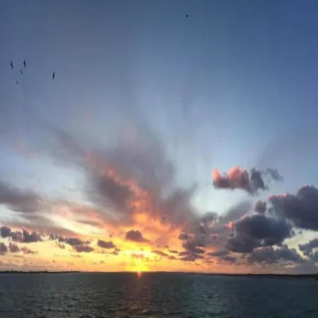 别墅 In Texel Near 德科赫